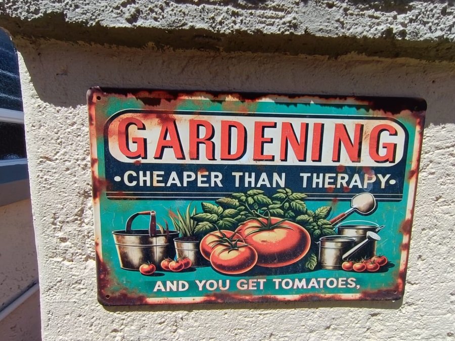 3 Bedroom Property for Sale in Island View Western Cape